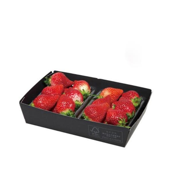  L-490FS g[ FS 235×165×55mm 1P[X400 }jpbP[W