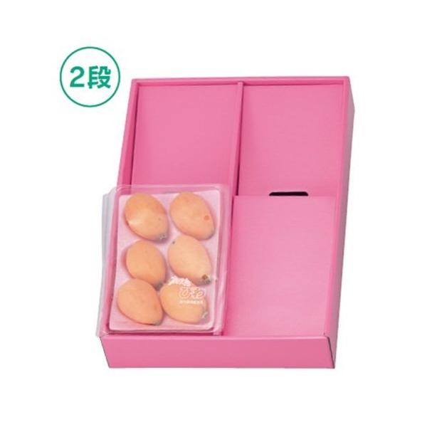}jpbP[W  L-2010P fBXvC{bNX sN 350×250×65mm 1P[X50 
