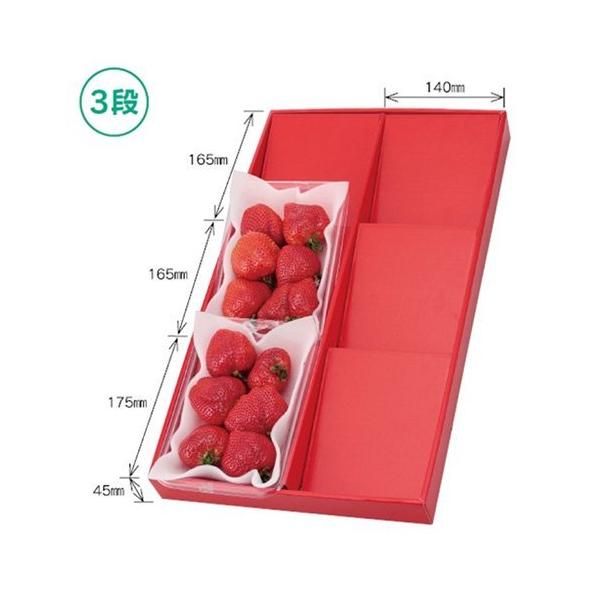  L-2216 fBXvC{bNX  [p3i 520×300×45mm 1P[X50 }jpbP[W