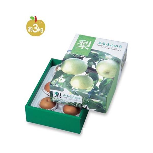  L-2121 W[V[yA 3kg 260×365×110mm 1P[X30 }jpbP[W p Mtg