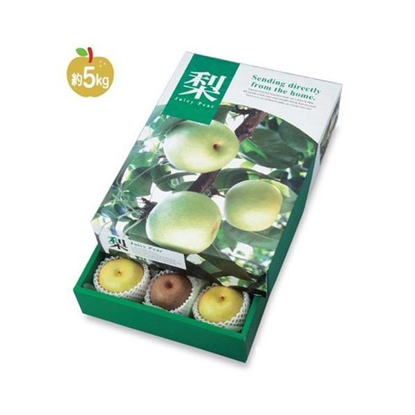  L-2117 W[V[yA 335×465×100mm 1P[X30 }jpbP[W p Mtg