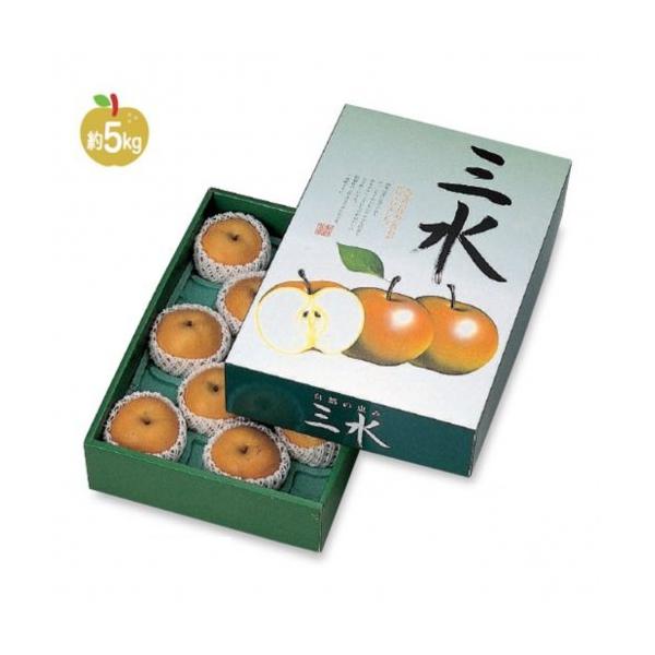  L-342 O 300×460×100mm 1P[X30 }jpbP[W p Mtg