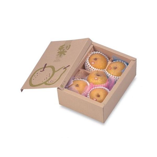  L-2051 T[rX 250×172×100mm 1P[X100 }jpbP[W