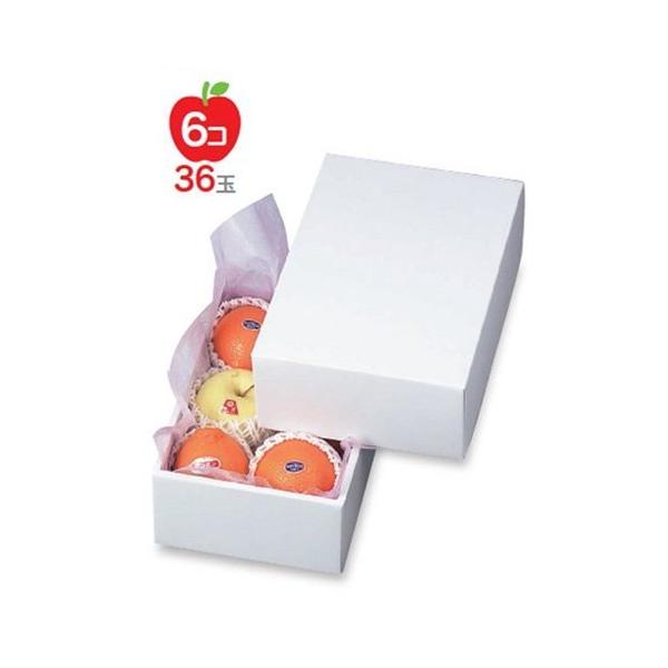 t[cpMtg LTO-1 zCg 1 190×275×110mm 1P[X40 }jpbP[W