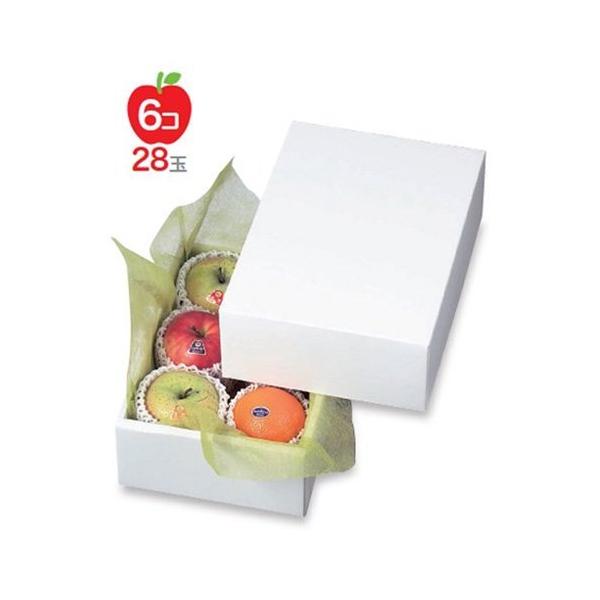 t[cpMtg LTO-2 zCg 2 210×300×110mm 1P[X40 }jpbP[W