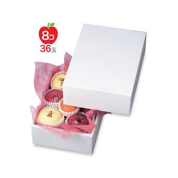 t[cpMtg LTO-3 zCg 3 230×325×110mm 1P[X40 }jpbP[W