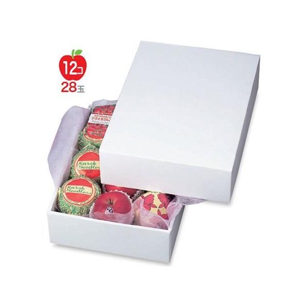 t[cpMtg LTO-7 zCg 7 310×420×120mm 1P[X30 }jpbP[W