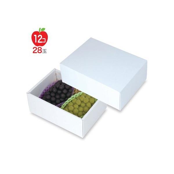 t[cpMtg LTO-38 zCg 2 [ 300×210×125mm 1P[X30 }jpbP[W