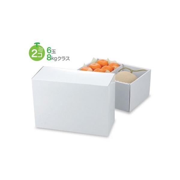 t[cpMtg L-2211 zCg C 325×225×150mm 1P[X40 }jpbP[W