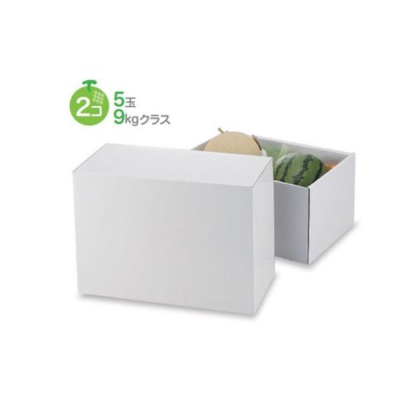 t[cpMtg L-2383 zCg C170 335×225×170mm 1P[X30 }jpbP[W