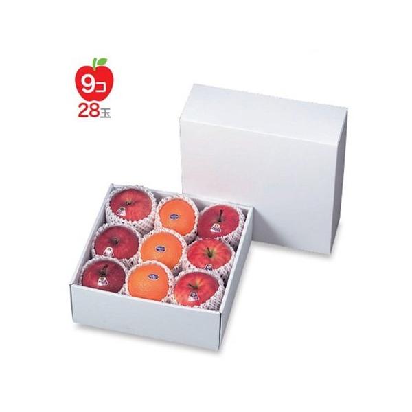 t[cpMtg LT-G8 zCg 290p 290×290×110mm 1P[X50 }jpbP[W