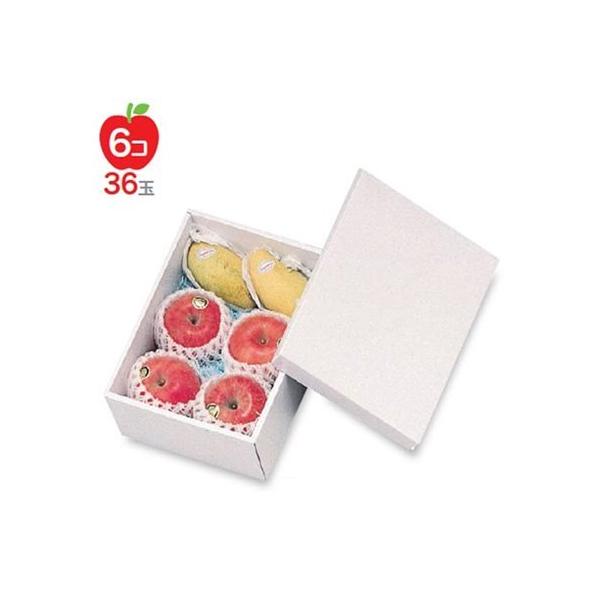 t[cpMtg L-176 zCg  190×270×100mm 1P[X50 }jpbP[W