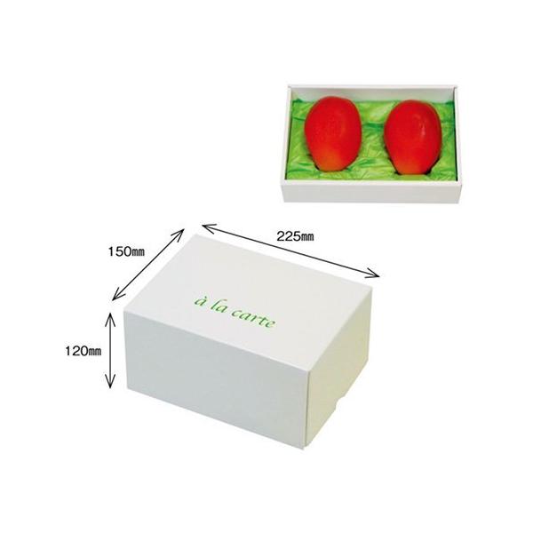 Ԃǂ AJg  No.2  180×245×125mm 1P[X50Zbg AA7316 IJ }S[