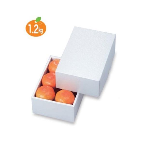 t[cpMtg LTO-17FS p[17FS 140×195×85mm 1P[X100 }jpbP[W