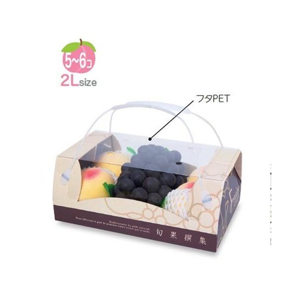 t[cpMtg BOX L-2429 {ʐW Rrl[V  310×200×130mm 1P[X50 }jpbP[W