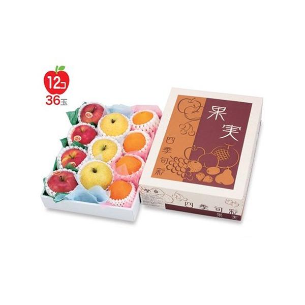 t[cpMtg L-2259 ʎ lG{  270×380×105(60)mm 1P[X50 }jpbP[W