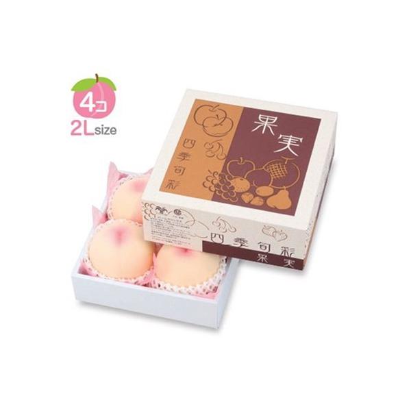 t[cpMtg L-2301 ʎ lG{ ~j 205p 205×205×100(60)mm 1P[X50 }jpbP[W