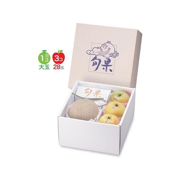 t[cpMtg L-492 v`C{ 265×290×155mm 1P[X30 }jpbP[W