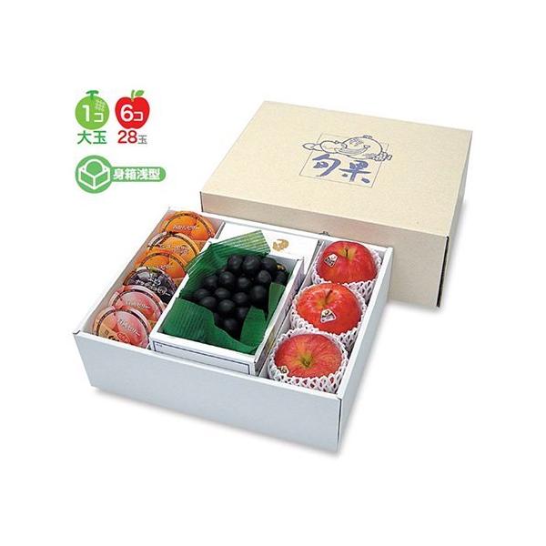 t[cpMtg L-2181 C{ʃpbg 370×295×155(120)mm 1P[X20 }jpbP[W