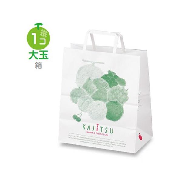 t[cp L-1003 ʎpbg  260×150×300mm 1P[X400 }jpbP[W