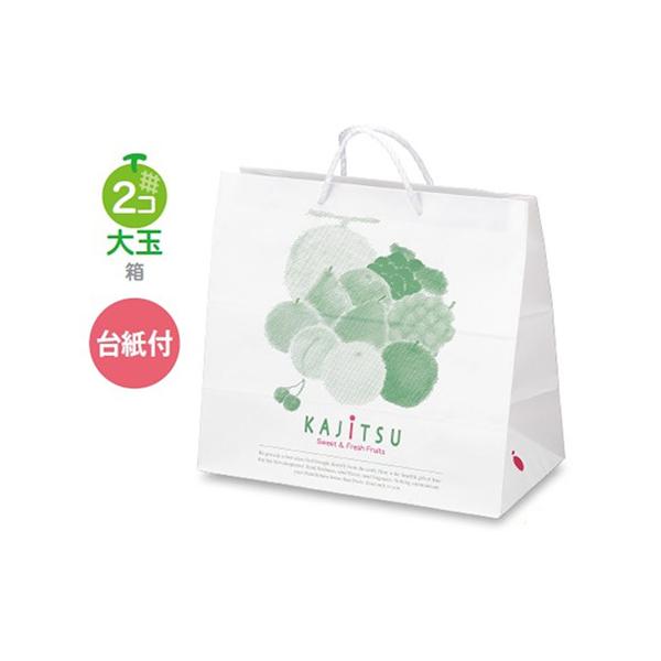 t[cp L-1004 ʎpbg  380×200×350mm 1P[X100 }jpbP[W