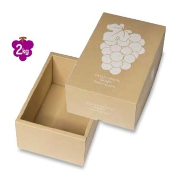 パール20 ギフト箱　50入　ヤマニパッケージ　新品未開封　化粧箱　フルーツ ym_l-325_1.jpg