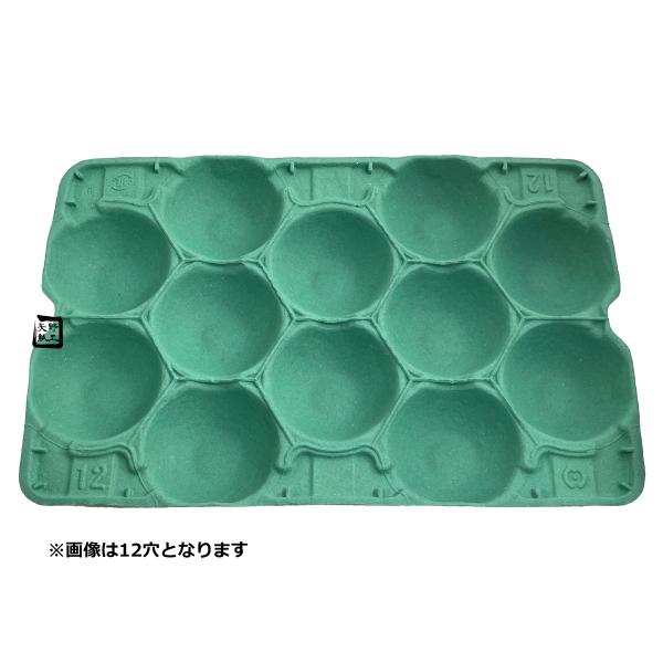 モウルドトレイ 033092 梨 5K用 12H 緑 460×305mm 1ケース50枚入 日本モウルド工業 フルーツ用トレー なしトレー