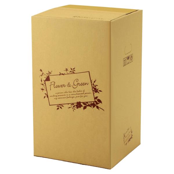 フラワーケース F-504 フラワー&グリーン 140 140cmサイズ 375×375×650mm 1ケース20枚入 花用紙箱 宅配箱
