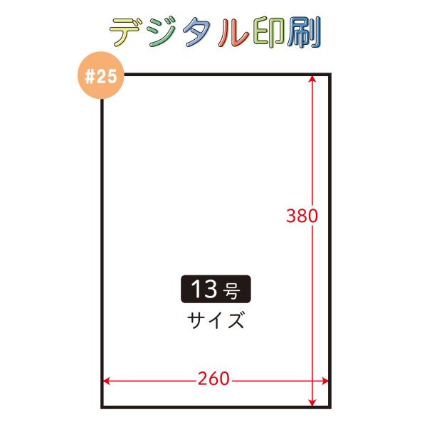 信和 【別注デジタル印刷】ハイパーボードン #25 No.13 13号 4穴/穴無