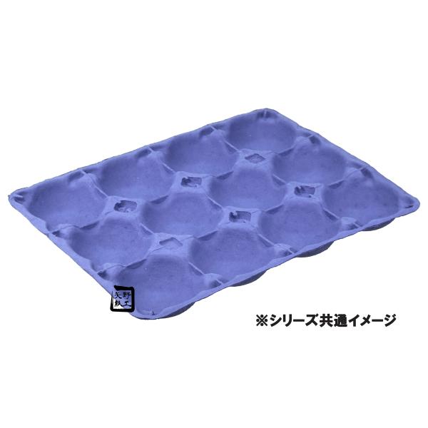 モウルドトレイ トマト2K用 紫 11H 310×230mm 1ケース200枚入 037561 日本モウルド工業 フルーツ用トレー