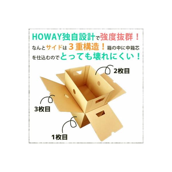チェストボックス 収納ボックス おしゃれ ダンボール 収納ケース 収納box 日本製 Buyee Buyee Japanese Proxy Service Buy From Japan Bot Online