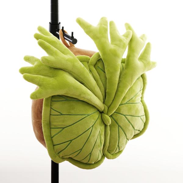 ビビプランツ 植物ぬいぐるみクッション ビカクシダリドレイ ビザールプランツ 珍奇植物 抱き枕 NPG-NB101 JAN:4589946149203  -メーカー直送-