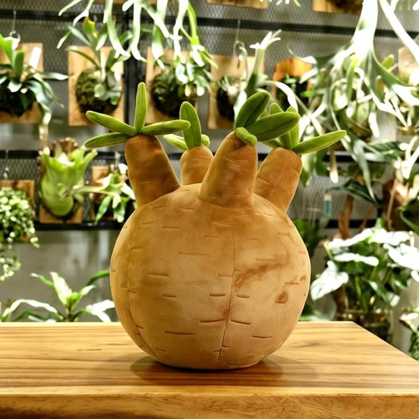 ビビプランツ 植物ぬいぐるみクッション パキポディウムグラキリス ビザールプランツ 珍奇植物 抱き枕 NPG-NP102 JAN:4589946149210  -メーカー直送-