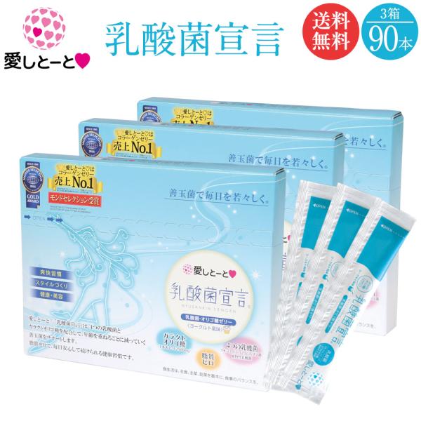 Hׂ_ۃ[[ _ې錾 (3127) 3 90{ 3  [Og KNgISz [[ rtBYX ۊ ʂ ֒