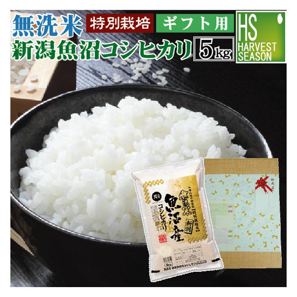 [ギフト エコ包装] 令和7年産 無洗米  5kg 新潟県 魚沼産 コシヒカリ  送料無料 特別栽培米 特A