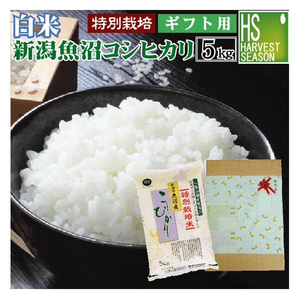 [ギフト エコ包装]  令和7年産 白米 新潟県魚沼産コシヒカリ 5kg   米 精白米 送料無料 特別栽培米 生産者限定 HACCP認定工場 特A お中元 御歳暮 お祝い