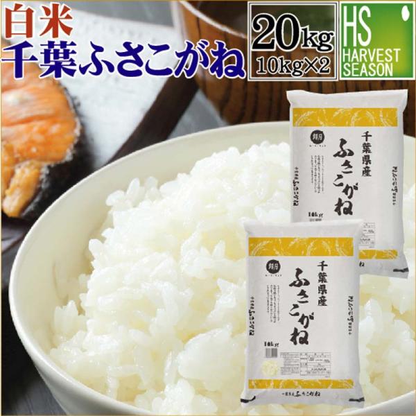 令和4年産 白米 精白米 千葉県産 ふさこがね 20kg 10kg×2 送料無料