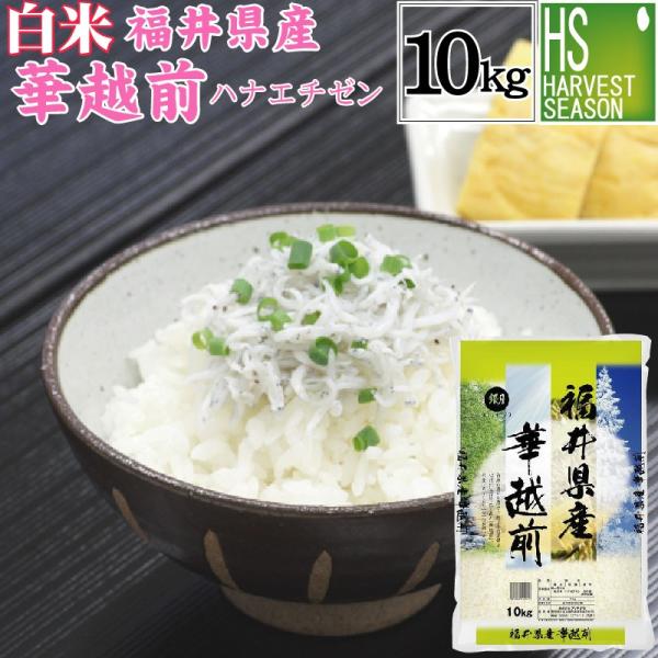 白米 10kg 5kg×2袋 福井県産 華越前 (ハナエチゼン) 令和元年産　送料無料