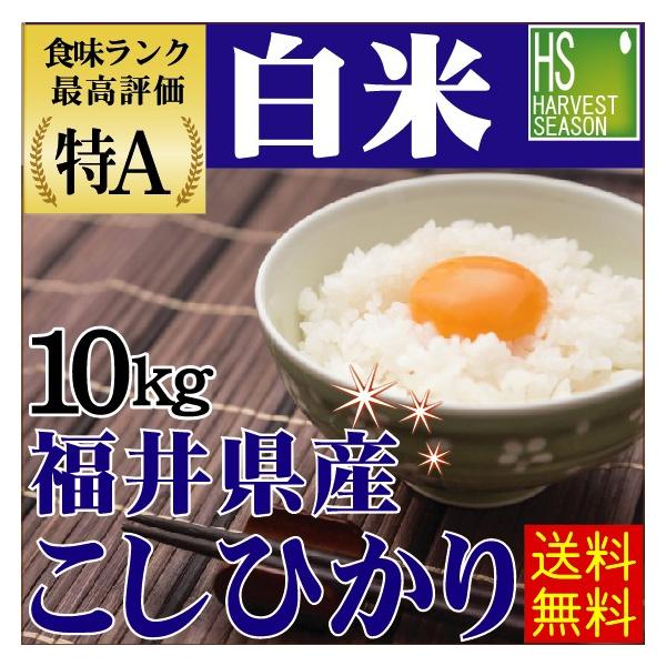 10kg 福井県産 コシヒカリ 白米 精白米 29年産 送料無料 セール