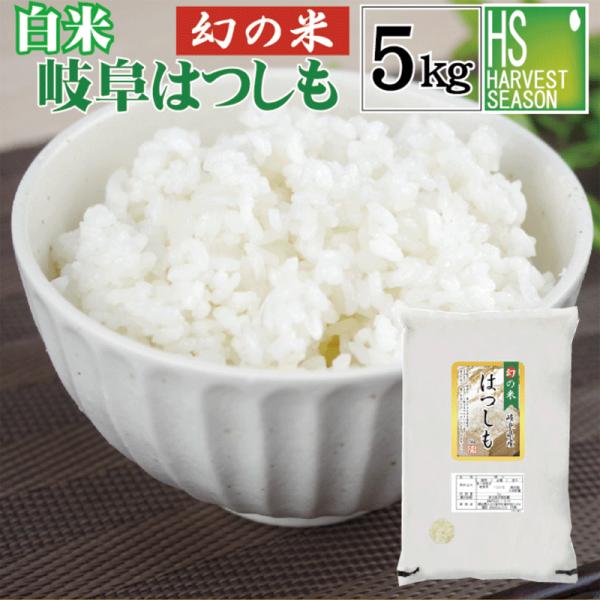 ポイント5倍 白米 5kg 岐阜県産 はつしも 精白米 幻の米 大粒 令和4年産 送料無料