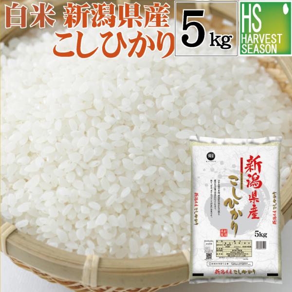 [20周年記念大特価＆抽選プレゼント] 令和7年産 新潟県産 コシヒカリ 5kg 米 精白米 白米 送料無料　SL
