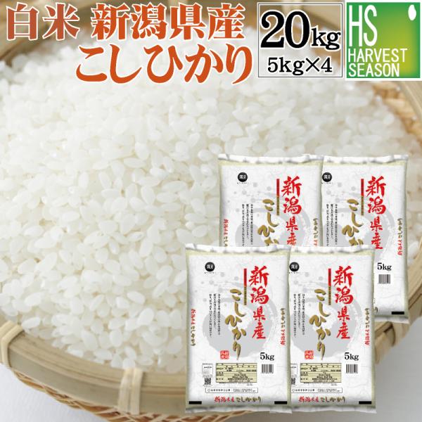 [20周年記念大特価＆抽選プレゼント] 令和7年産 新潟県産 コシヒカリ 20kg 5kg×4 米 精白米 白米 送料無料　SL