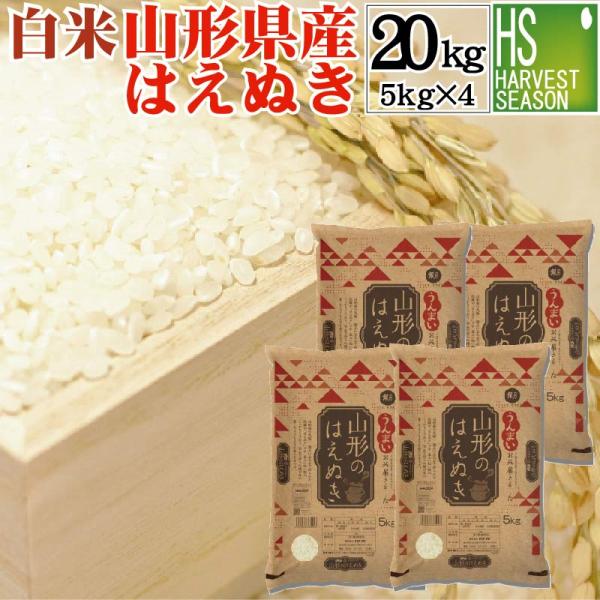 [お値打ち価格続行] 令和7年産 20kg 5kg×4袋 はえぬき 山形県産 白米 精白米  送料無料　SL