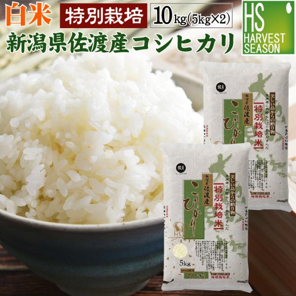 数量限定 精白米 5kg×2 新潟県 佐渡 コシヒカリ 10kg 特別栽培米 令和4年産 送料無料