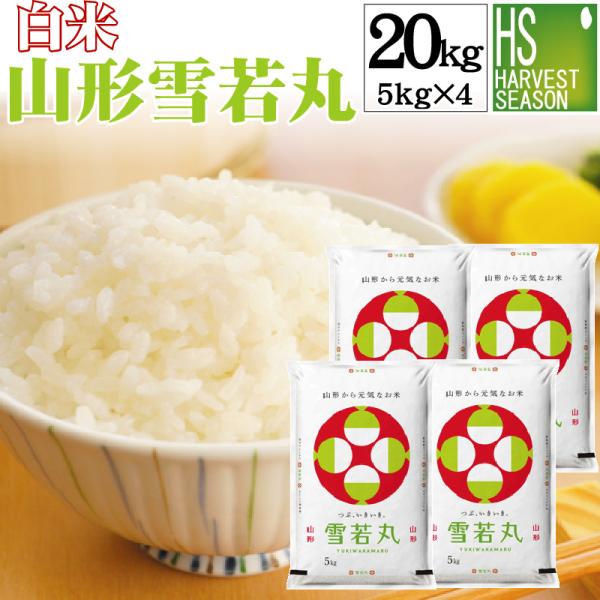 [お値打ち価格続行] 令和7年産 雪若丸 米 お米 20kg 白米 山形県産 5kg×4袋 送料無料 精米HACCP認定工場　SL