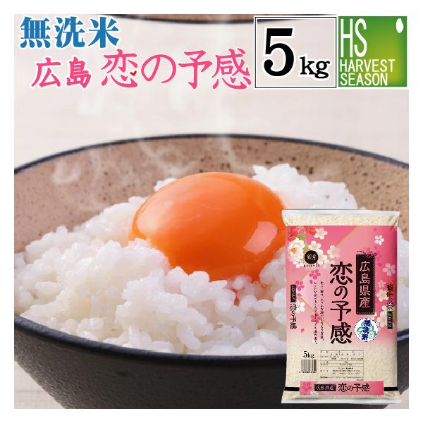 [数量限定] 無洗米 5kg 広島県産 恋の予感 令和4年産  送料無料 特A お米マイスター厳選 精米HACCP認定工場