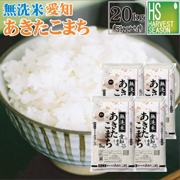 [精米時期訳アリ] 令和7年産 無洗米 20kg 愛知県産 あきたこまち  送料無料（SL）
