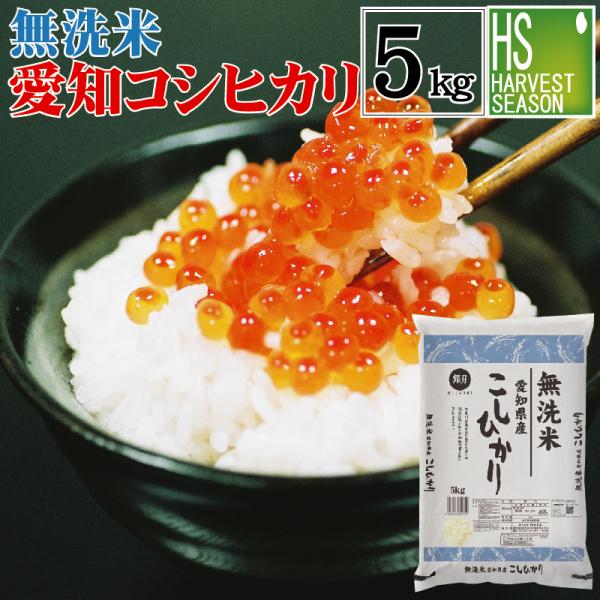 無洗米 5kg コシヒカリ 愛知県産 令和4年産 送料無料