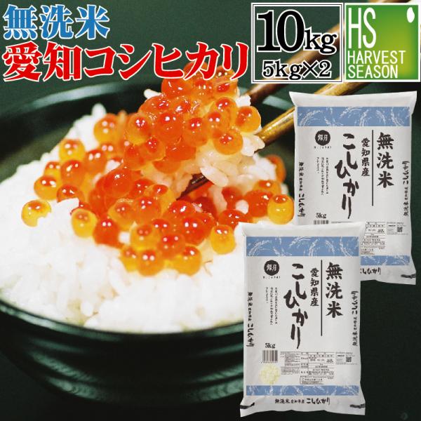 無洗米 10kg 5kg×2袋 コシヒカリ 愛知県産 令和4年産 送料無料