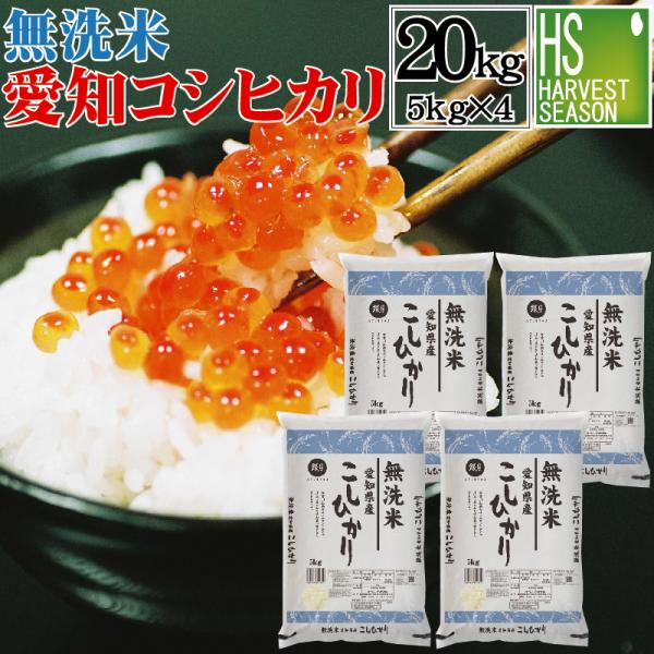 無洗米 20kg 5kg×4袋 コシヒカリ 愛知県産 令和4年産 送料無料